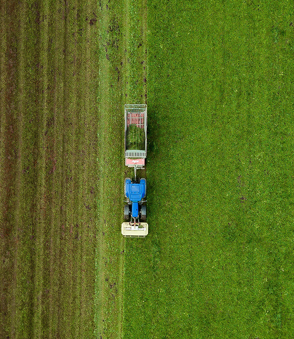 irrigation cameroun afrique agriculture